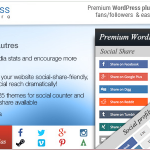 دانلود افزونه وردپرس AccessPress Social Pro - ایجاد دسترسی به شبکه های اجتماعی | پلاگین AccessPress Social Pro
