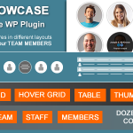 دانلود افزونه وردپرس Team Showcase - افزونه مدیریت کاربران به صورت تیمی | پلاگین Team Showcase
