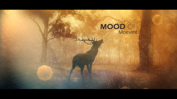 دانلود رایگان پروژه افتر افکت Mood Of Moments Parallax Opener