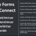 دانلود افزونه وردپرس Gravity Forms - WPDB / MySQL Connect | پلاگین Gravity Forms - WPDB / MySQL Connect