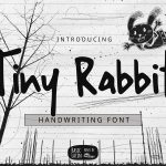 دانلود رایگان فونت Tiny Rabbit - فونت پرمیوم و جذاب طراحی | فونت Tiny Rabbit