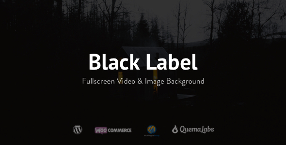 دانلود قالب وردپرس Black Label - پوسته عکاسی و فتوگرافی وردپرس