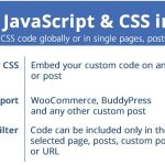 دانلود افزونه وردپرس Custom JavaScript & CSS in Pages