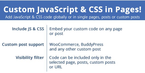 دانلود افزونه وردپرس Custom JavaScript & CSS in Pages