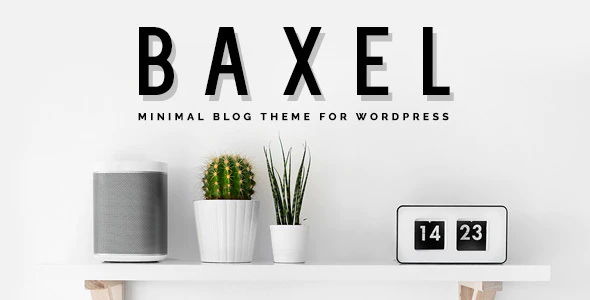دانلود قالب وردپرس Baxel - پوسته وبلاگ حرفه ای و واکنش گرا وردپرس