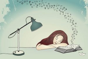 دانلود وکتور Asleep While Reading | خوابیدن هنگام مطالعه
