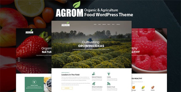 دانلود قالب وردپرس Agrom - پوسته مواد غذایی و محصولات ارگانیک وردپرس