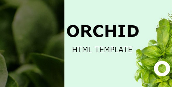 دانلود قالب سایت Orchid - قالب چند منظوره و واکنش گرا HTML