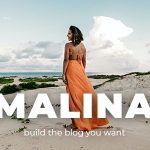 دانلود قالب وردپرس Malina - پوسته وبلاگ شخصی و واکنش گرا وردپرس