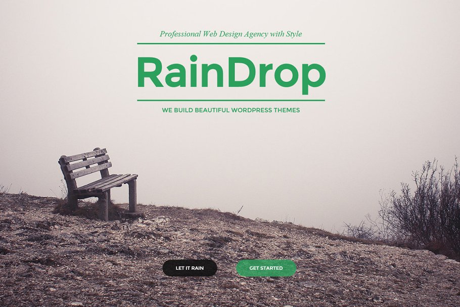 دانلود قالب سایت RainDrop - قالب چند منظوره و واکنش گرا HTML
