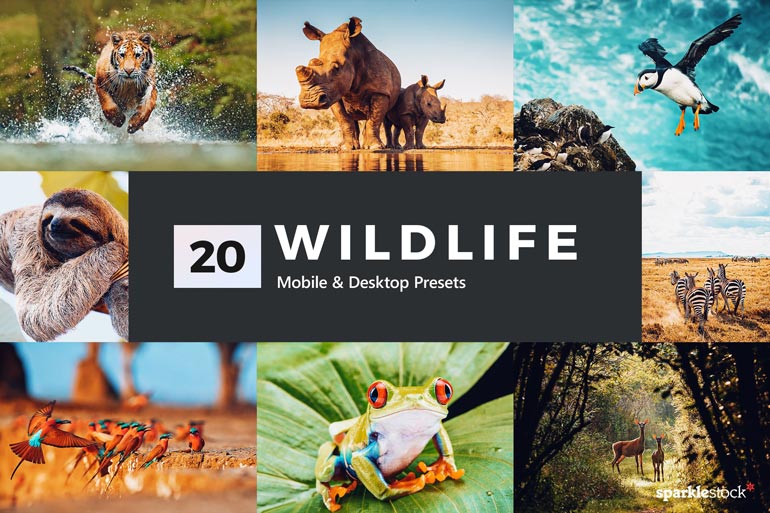 دانلود مجموعه 20 پریست لایت روم فوق العاده Wildlife - نسخه دسکتاپ و موبایل