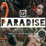 دانلود مجموعه پریست لایت روم Paradise - دو نسخه دسکتاپ و موبایل