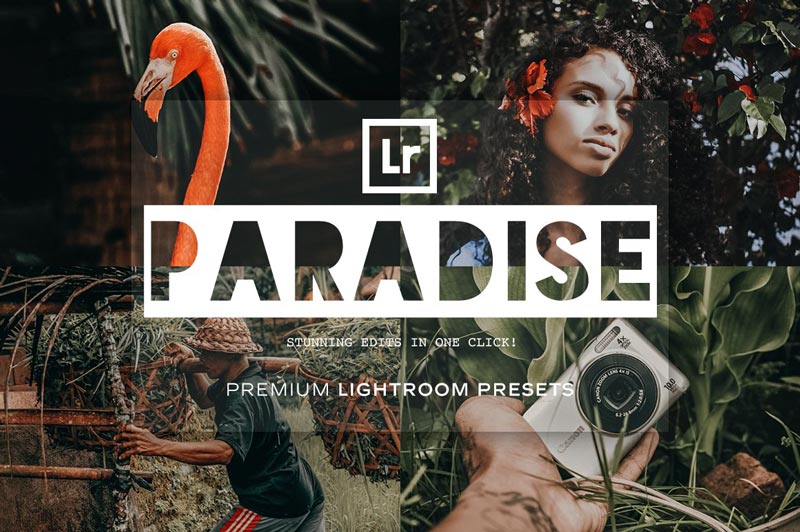 دانلود مجموعه پریست لایت روم Paradise - دو نسخه دسکتاپ و موبایل