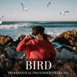 دانلود مجموعه 25 تصویر PNG و OVERLAY فتوشاپ با موضوع پرندگان