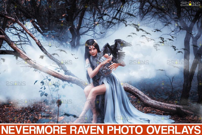 دانلود 50 Halloween overlay Photoshop overlay Realistic raven