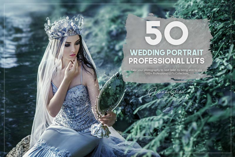 دانلود مجموعه پریست 50 Wedding Portrait LUTs Pack