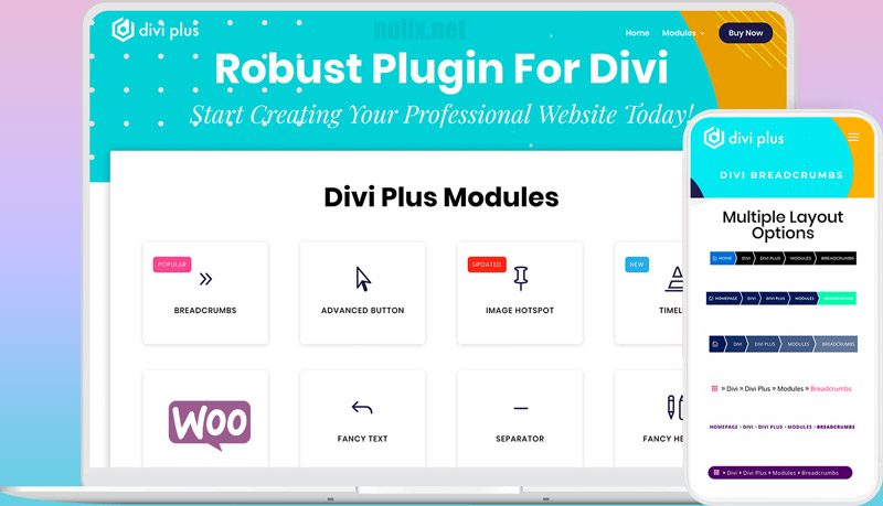 دانلود افزونه وردپرس Divi Plus - افزودنی پیشرفته و حرفه ای برای قالب Divi