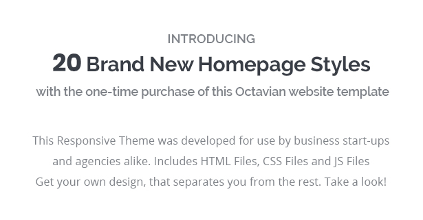 Octavian - Multipurpose Creative HTML5 Template - 2