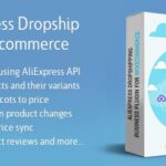 دانلود AliExpress Dropshipping Business plugin for WooCommerce