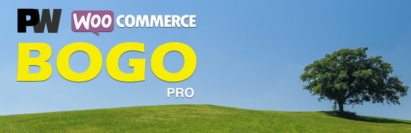دانلود افزونه وردپرس PW WooCommerce BOGO Pro