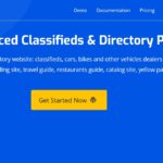دانلود افزونه وردپرس Advanced Classifieds & Directory Pro