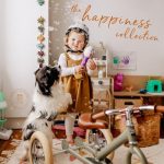 دانلود پریست لایت روم The Happiness Collection