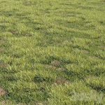 دانلود فایل سه بعدی Grass kit 2